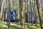 Premium Forest Bungalows- коттеджи в аренду в Молетском районе
