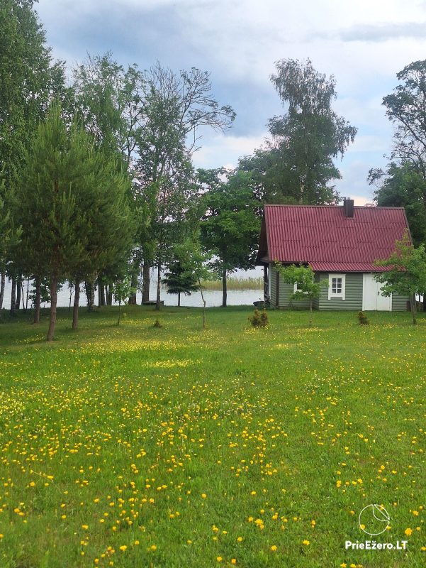 Accommodation near the lake Alaushas